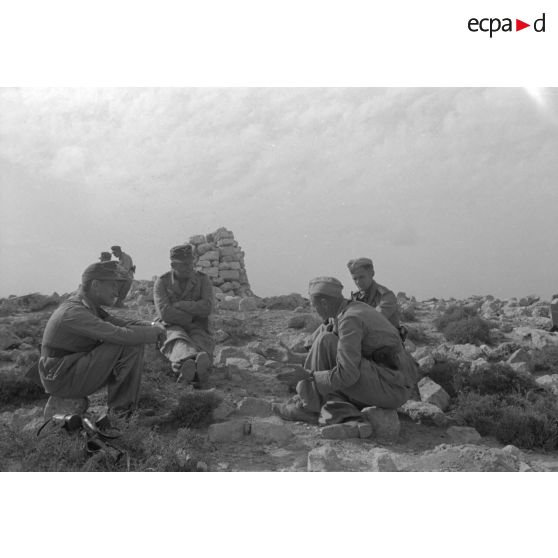 Les positions italo-allemandes dans le secteur d'Halfaya.