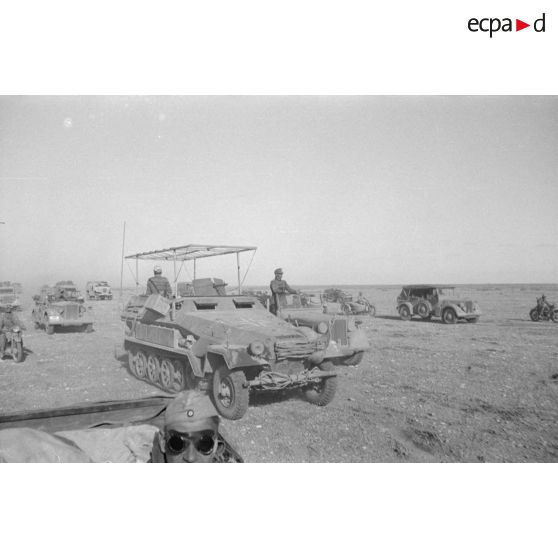 La progression d'une colonne blindée de la 15.Panzer-Division, en tête un semi-chenillé Sd.kfz.251/3.