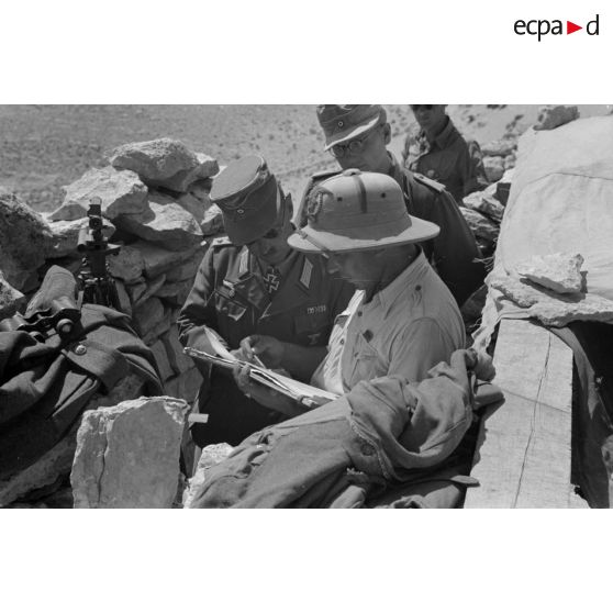 Le capitaine Bach, commandant d'une batterie du Schützen Regiment.104, visite des positions italiennes (Halfayapass).