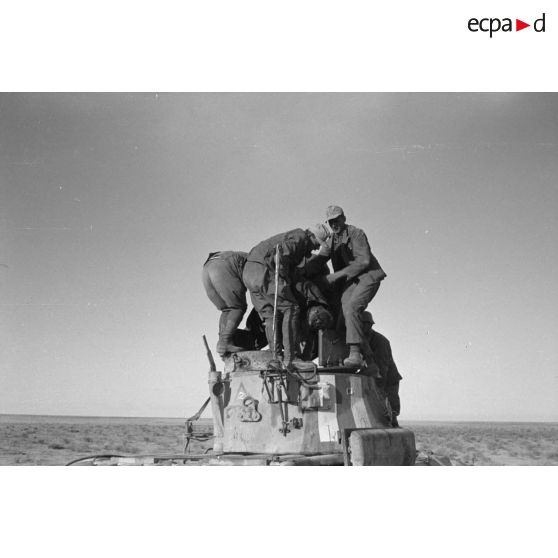 L'équipage du char Matilda "Park Royal" qui n'a pas survécu aux tirs allemands.