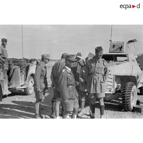 Le capitaine Bach, le commandant Panzenhagen, et le Major italien Pardi visitent le front de Soloum (Sollum) à bord d'un véhicule britannique de prise (Marmon Herrington).