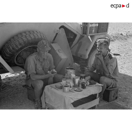 A l'abri d'un Sd.kfz.222 (immatriculé WH-642 265), un petit déjeuner dans le désert.