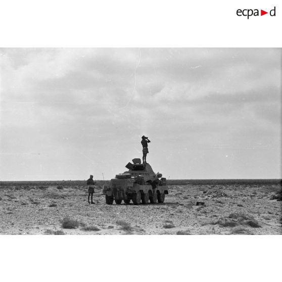 Un véhicule de reconnaissance Sd.kfz.232.