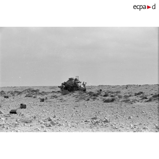 Un véhicule de reconnaissance Sd.kfz.223 (immatriculé WH-642 265).