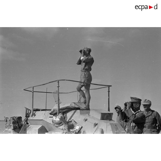 Le chef d'une unité de reconnaissance (Spähtruppführer), l'adjudant (Feldwebel) Apsel observe aux jumelles sur le toit d'un Sd.kfz.222 (immatriculé WH-642 265).