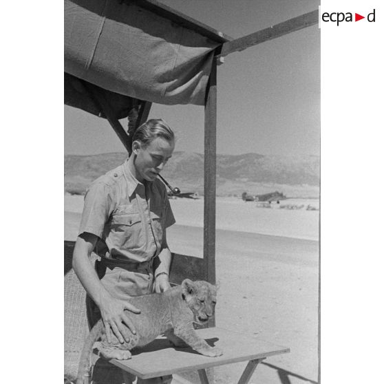 La mascotte baptisée "Whisky", un bébé lion.