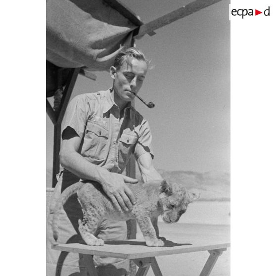 La mascotte baptisée "Whisky", un bébé lion.