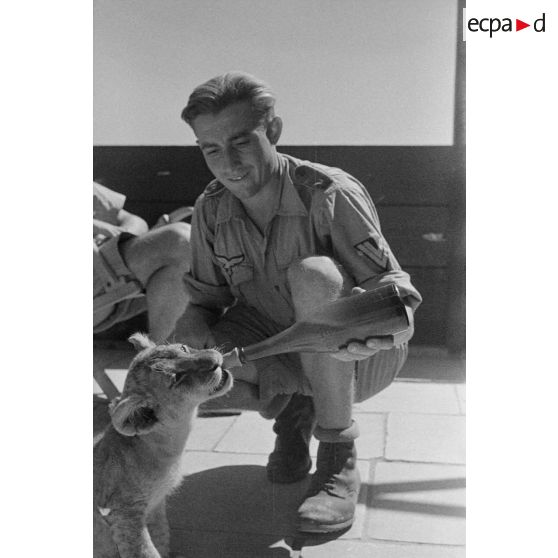 La mascotte baptisée "Whisky", un bébé lion.