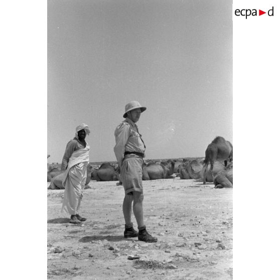 Echanges entre des bédouins et une section de reporters de la Luftwaffe Kriegsberichter Kompanie 7.