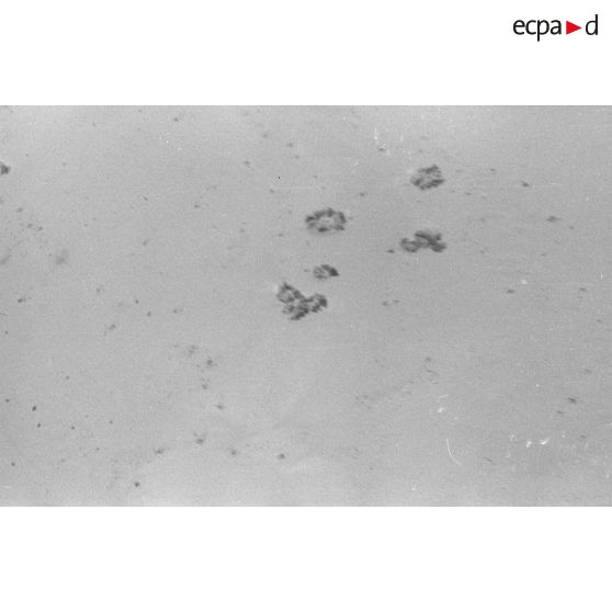 Attaque de Junkers Ju-87 sur des blindés alliés lors de la bataille d'El Alamein.