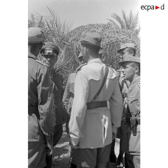 Lors de la visite de l'oasis de Siwa, le général Rommel s'entretient avec des officiers allemands et italiens.