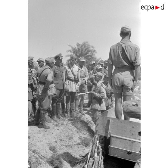 Rommel visite l'oasis de Siwa.