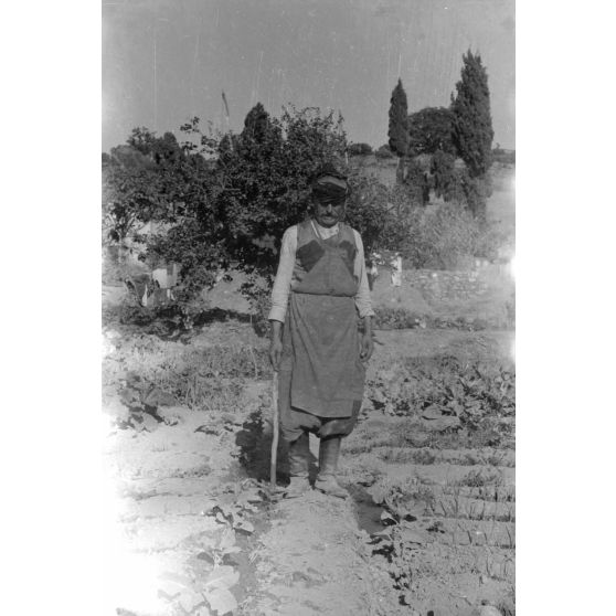 La vie paysanne dans le secteur de Kastelli (Crète).