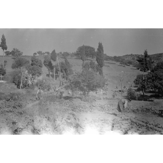 La vie paysanne dans le secteur de Kastelli (Crète).