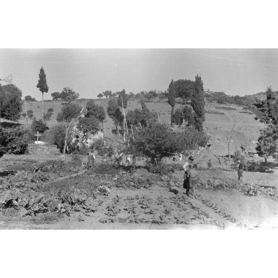 La vie paysanne dans le secteur de Kastelli (Crète).