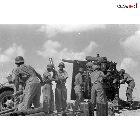 Mise en batterie d'une batterie de 4 canons de 8,8 cm Flak sur le front d'El Alamein.