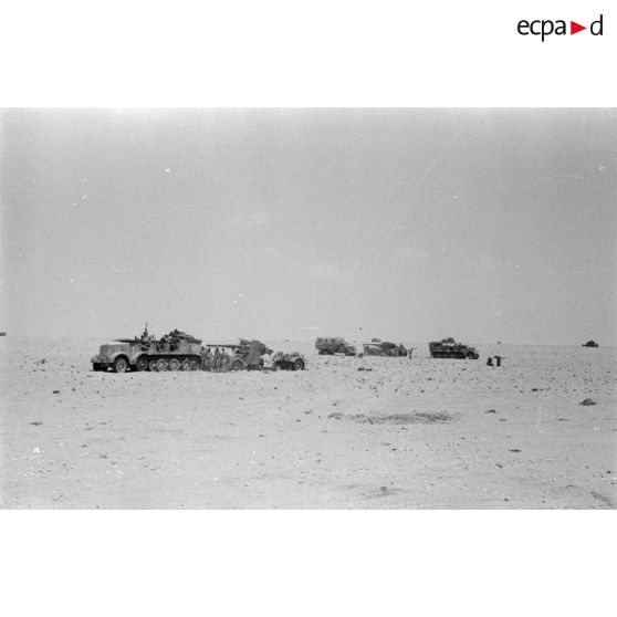 Mise en batterie d'une batterie de 4 canons de 8,8 cm Flak sur le front d'El Alamein.
