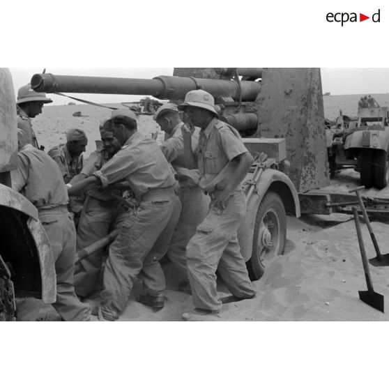 Mise en batterie d'une batterie de 4 canons de 8,8 cm Flak sur le front d'El Alamein.