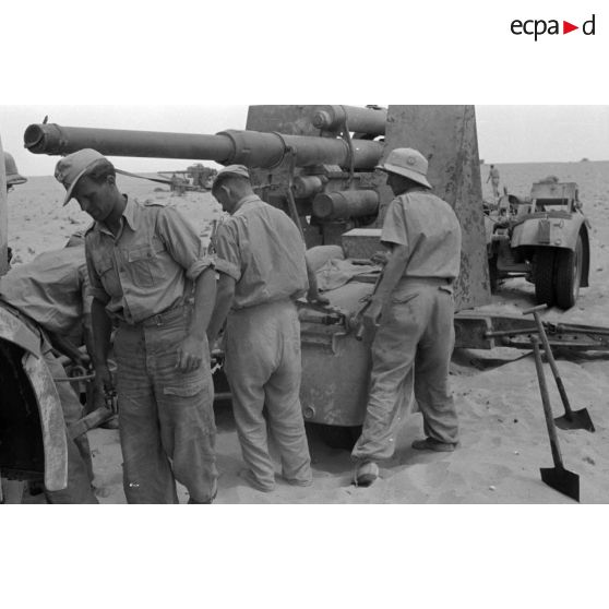 Mise en batterie d'une batterie de 4 canons de 8,8 cm Flak sur le front d'El Alamein.