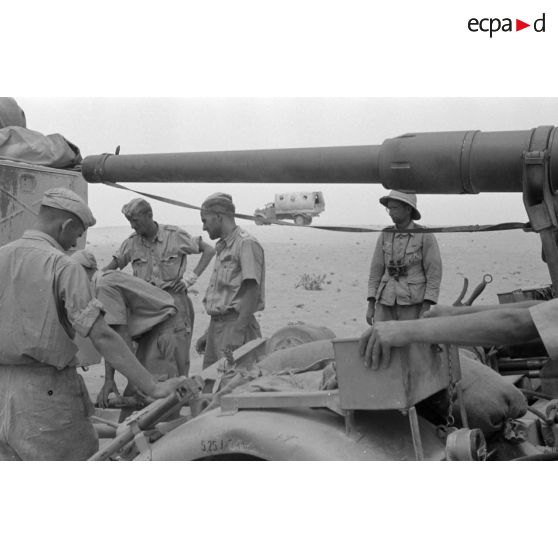 Mise en batterie d'une batterie de 4 canons de 8,8 cm Flak sur le front d'El Alamein.