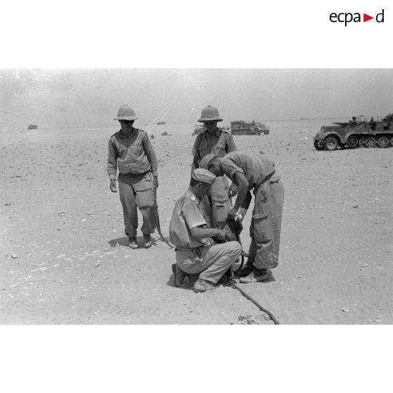 Mise en batterie d'une batterie de 4 canons de 8,8 cm Flak sur le front d'El Alamein.