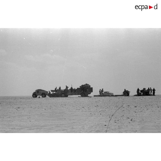 Mise en batterie d'une batterie de 4 canons de 8,8 cm Flak sur le front d'El Alamein.