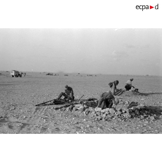 Mise en batterie d'une batterie de 4 canons de 8,8 cm Flak sur le front d'El Alamein.