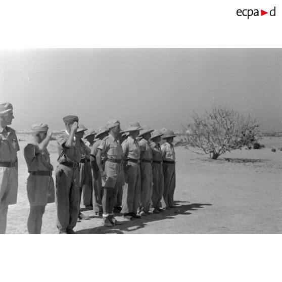 Remise de la croix de fer de première classe à l'adjudant (Feldwebel) Hanns Gross, reporter photographe et la presse écrite au sein de la Luftwaffe Kriegsbericher Kompanie 7 (Lw.KBK.7).
