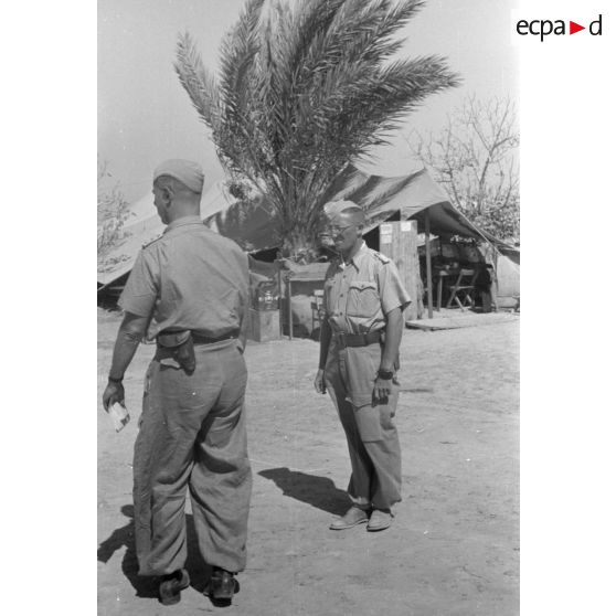 Remise de la croix de fer de première classe à l'adjudant (Feldwebel) Hanns Gross, reporter photographe et la presse écrite au sein de la Luftwaffe Kriegsbericher Kompanie 7 (Lw.KBK.7).