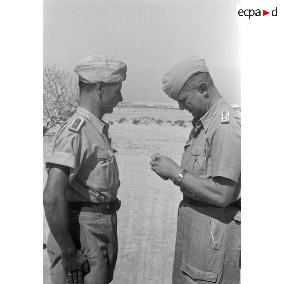 Remise de la croix de fer de première classe à l'adjudant (Feldwebel) Hanns Gross, reporter photographe et la presse écrite au sein de la Luftwaffe Kriegsbericher Kompanie 7 (Lw.KBK.7).