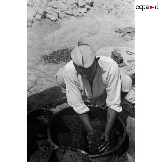 Un ancien pressoir à olives installé dans l'oasis de Siwa.