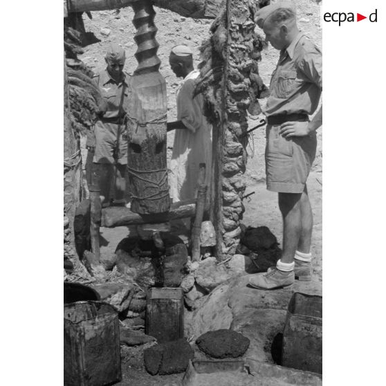 Un ancien pressoir à olives installé dans l'oasis de Siwa.