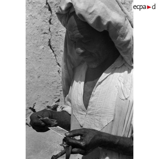 Un paysan de l'oliveraie observe des photos ou des billets de banque.