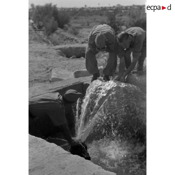 La source de l'oasis de Siwa bouillonne avec une forte pression.