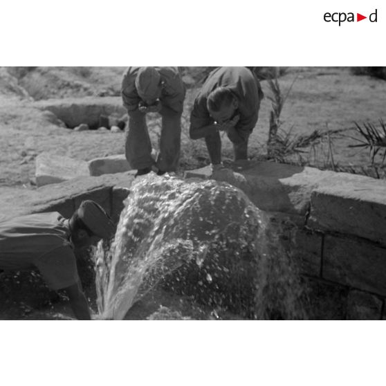 La source de l'oasis de Siwa bouillonne avec une forte pression.