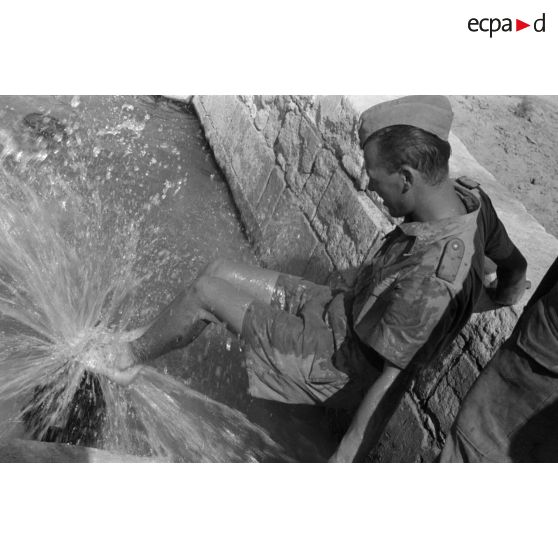 La source de l'oasis de Siwa bouillonne avec une forte pression.