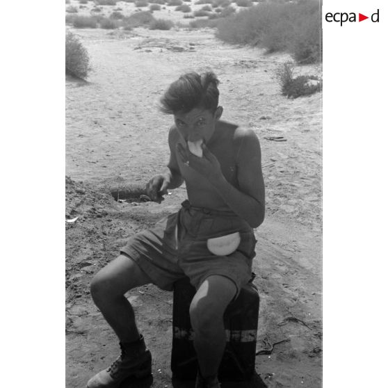 Le menu du jour, du melon.