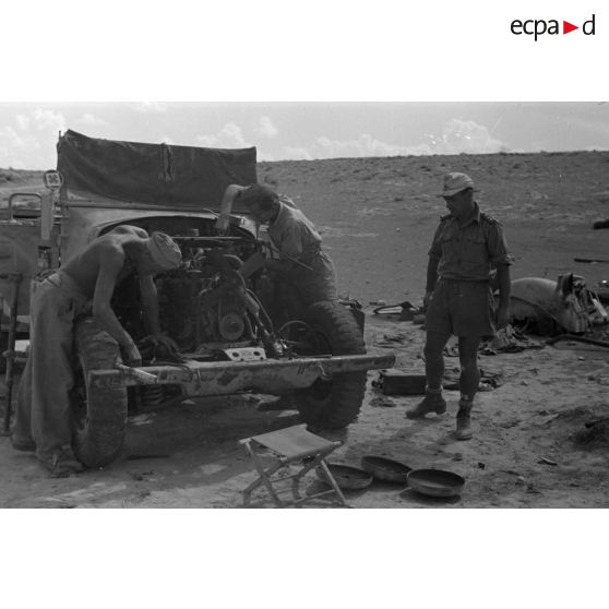 Maintenance d'un moteur de véhicule de la Luftwaffe, le trèfle pourrait correspondre à un véhicule de la 19e division de DCA de l'armée de l'air allemande  (19.FlaK-Division).