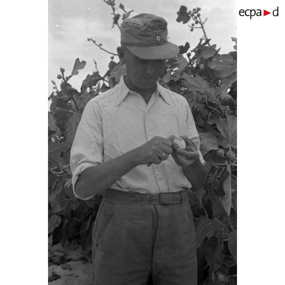 Pause déjeuner, un officier mange une figue.