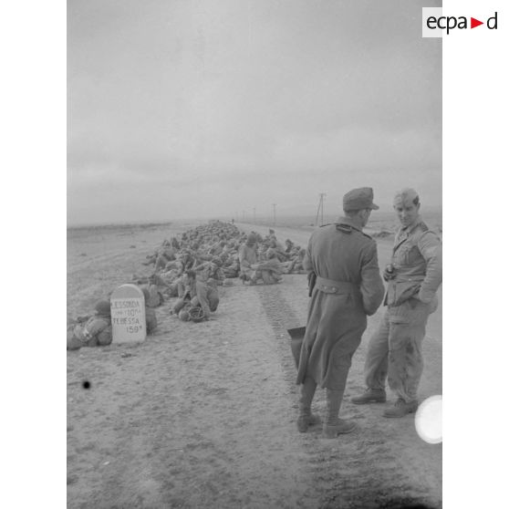En Tunisie, une colonne de prisonniers américains sous la garde de fantassins allemands.