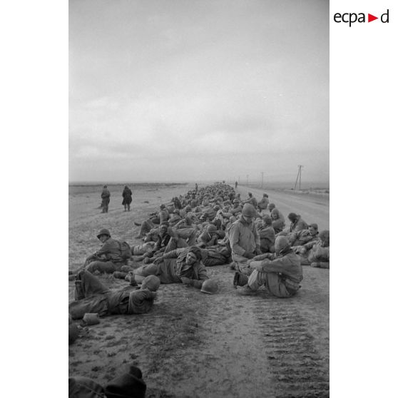 En Tunisie, une colonne de prisonniers américains sous la garde de fantassins allemands.