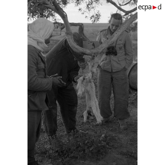 En Tunisie dans les environs du terrain d'aviation d'El Aouina, la préparation d'un repas au sein de positions de l'armée de l'air allemande.