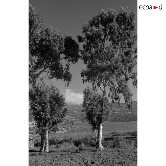 Non loin du terrain d'aviation d'El Aouina.