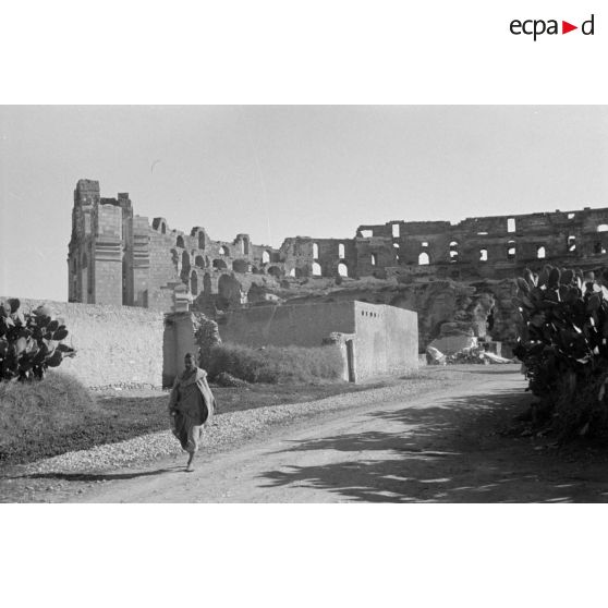 En Tunisie, la visite de l'amphithéâtre de El Jem.