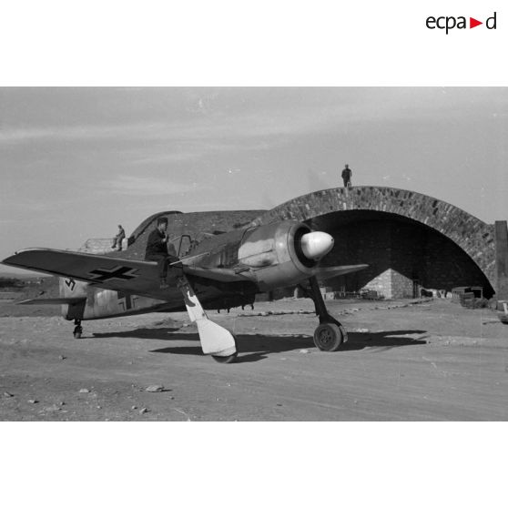 Un chasseur Focke-Wulf Fw-190 Schnellkampfgeschwader 10, peut-être le "jaune 5" (Gelbe 5).