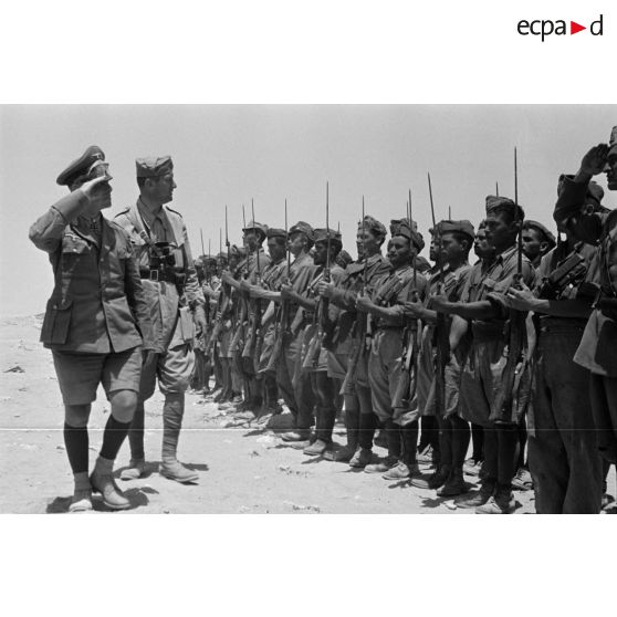 Le général Erwin Rommell et Pardi passent des troupes italiennes en revue.