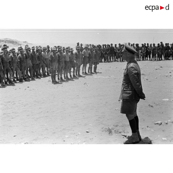 Le Generalleutnant Rommel devant les hommes du Schützen-Regiment 103 (I-Schtz.Rgt-104).