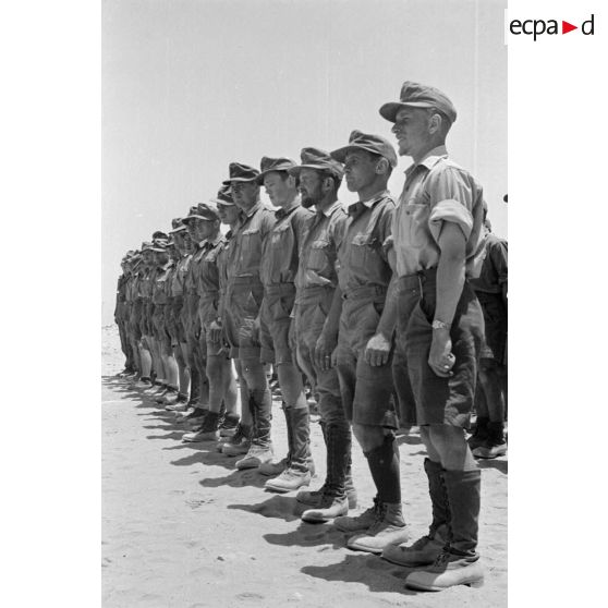 Les hommes au Schützen-Regiment 104, lors d'une inspection du général Erwin Rommel.