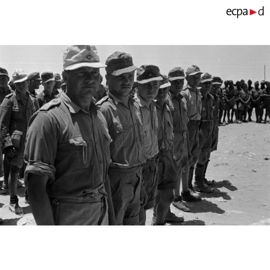 Les hommes au Schützen-Regiment 104, lors d'une inspection du général Erwin Rommel.