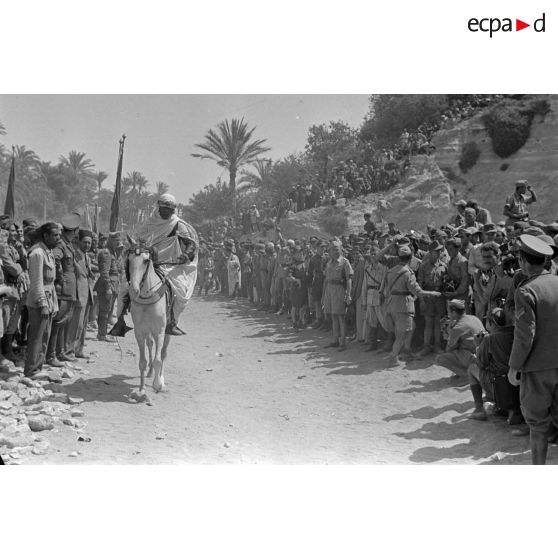 Des cavaliers libyens participent à une course de chevaux ou à une fantasia entre deux haies de spectateurs.